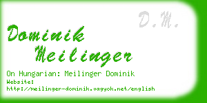 dominik meilinger business card